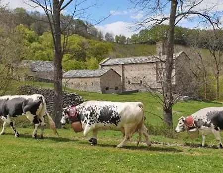 Vandrarhem Foresteria Della Certosa Di Montebenedetto *